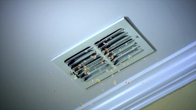 Best Air Duct Sanitizing Services  in King Cove, AK